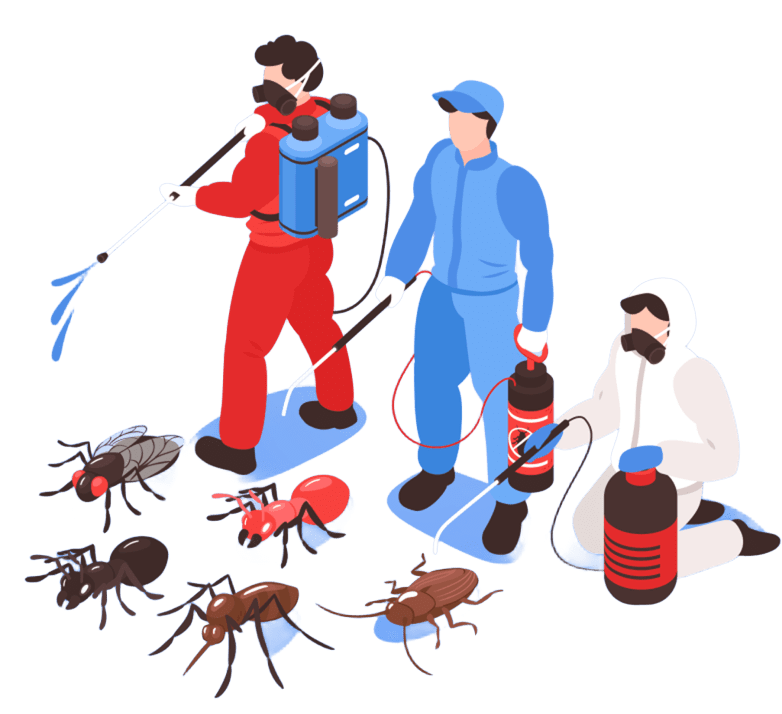 Expert traitement nuisibles MAX3D